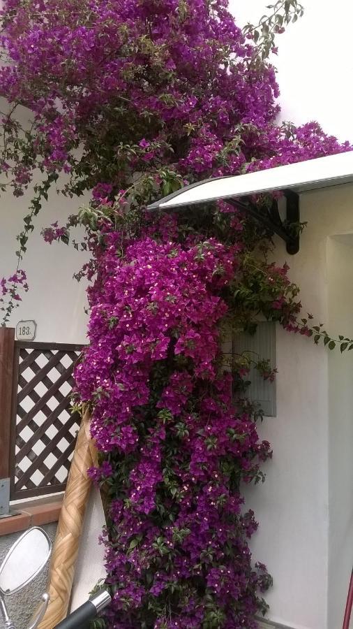 Вилла Rainbow House With Garden Виареджо Экстерьер фото